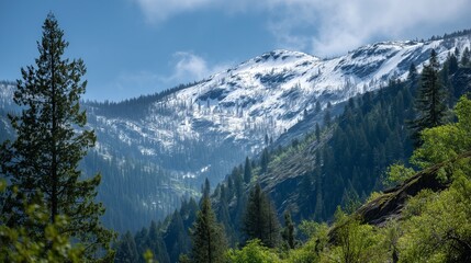 **Snow on mountain with greenery themes like trees, icy mountain terrain transitioning into lush green forested lower hills under a clear sky