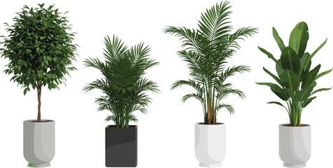 Modern indoor potted plants collection, tropical and decorative houseplants in ceramic planters, realistic 3D render for home or office decor