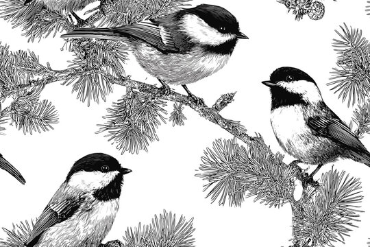 Seamless pattern of chickadee birds on coniferous branches, black and white hand-drawn vector illustrations, elegant and minimalist design, perfect for fabric, wallpaper,