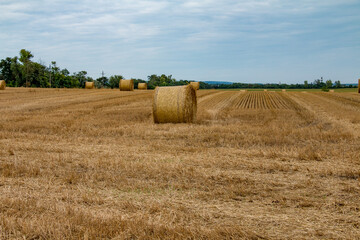 straw bales on a field