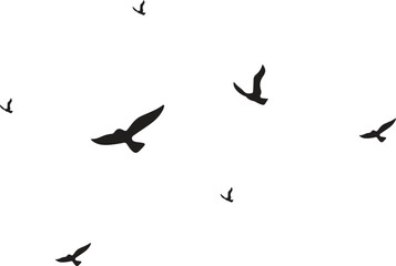 Flying birds silhouettes on white background. Vector illustration. isolated bird flying. tattoo design.