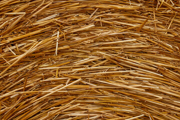 close-up of a round straw bale 