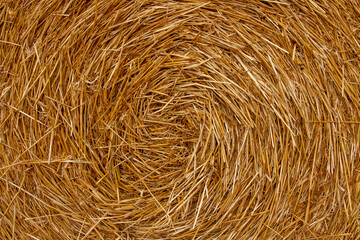 close-up of a round straw bale with spiral pattern