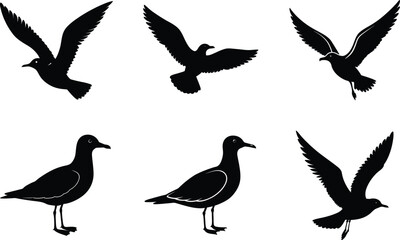 Obraz premium Seagull Soaring Silhouette Vector Illustration Set