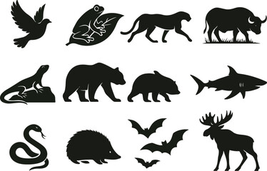 Wild Muses – Silhouettes in Mid-Motion Harmony