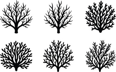 Silhouette Fire Coral Vector Illustration