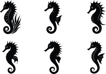 Obraz premium Silhouette Seahorse Vector Set