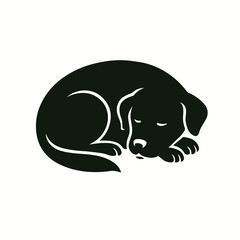 The Shadow of Stillness