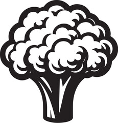Illustration of a fresh cauliflower in black and white