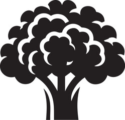 Illustration of a fresh cauliflower in black and white