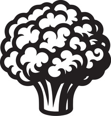 Illustration of a fresh cauliflower in black and white