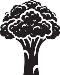 Illustration of a fresh cauliflower in black and white