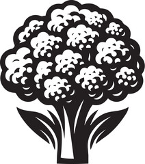Illustration of a fresh cauliflower in black and white