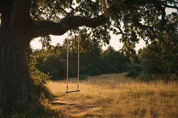 Side view of a rope swing swaying slightly under large oak tree in sunlit meadow, no people, golden grass