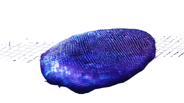 Detailed blue fingerprint with unique ridges and biometric pattern isolated on white background