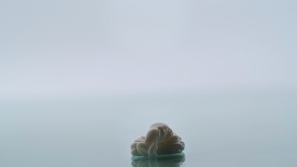 Creamy mass on a mirror surface