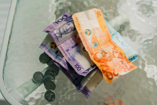 Variety of Philippine peso bills