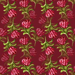 Red flower on a red background, seamless pattern