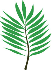 Art & Illustration leaf palm