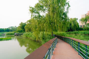 Beijing, China - 3 june 2025 Chao Yang Gong Yuan in summer