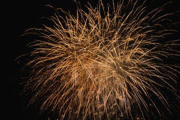 Fireworks in the Night Sky