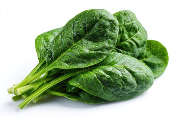 Obraz premium Fresh spinach leaves, vibrant green, glistening with water droplets, stems bundled together, isolated on white background
