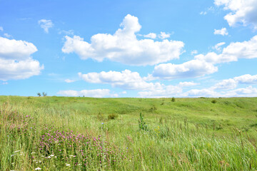 Green meadow under a bright blue sky with fluffy white clouds wallpaper