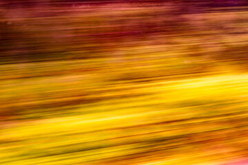 Dynamic motion blur view from high-speed train window: Green landscape, trees & fields rush past at high speed