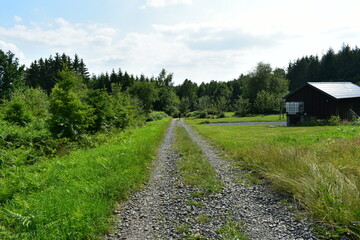 rural road in the countryside