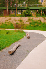 urban park trail with natural logs lining pathway amidst greenery and blurred background. rustic elements blend with modern landscaping, creating serene outdoor atmosphere for relaxation