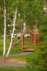 modern park bench nestled among birch trees offers tranquil outdoor seating. peaceful landscape...
