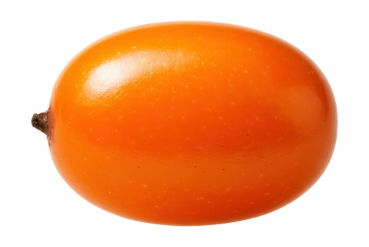 Ripe sea buckthorn berry with glossy surface and elongated oval form