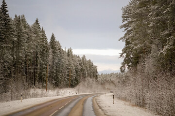 Fototapeta premium Road going through snowy needle tree forest with cloudy sky background, Latvia