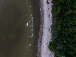 An aerial perspective of a shoreline where gentle waves meet a sandy beach, bordered by a dense forest with vibrant green foliage on the right.