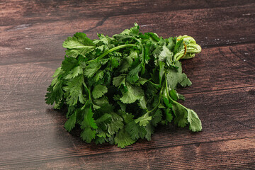 Fresh green cilantro branches heap