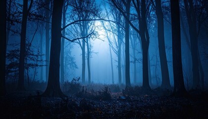 Dark misty forest at night with trees silhouetted against a bright blue moonlit sky