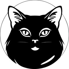 Image of a black cat on white background
