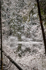 Dark still water lake in the middle of the forest with tree and snow reflection making a natural...