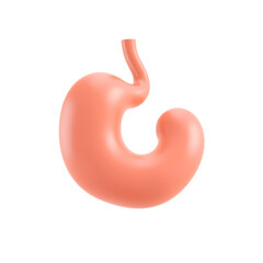 3d icon of a simple 3d illustration of a human stomach isolated on transparent background