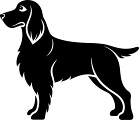 Welsh Springer Spaniel silhouette vector black , white background