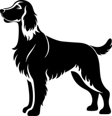 Welsh Springer Spaniel silhouette vector black , white background