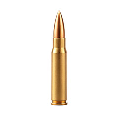 small caliber bullet on transparent background