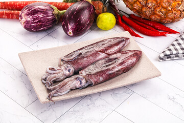 Raw fresh squid for cooking