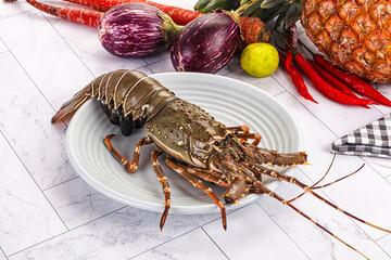 Raw wild fresh spiny lobster
