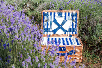 Beautiful picnic suitcase made of woven straw in a field of blooming lavender. Organic handmade...