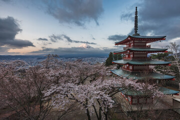Serene sunrise view of Mount Fuji from Arakurayama Sengen Park in Fujiyoshida, Japan. A vibrant cherry blossom tree and a traditional red pagoda frame the iconic peak. Breathtaking landscape.