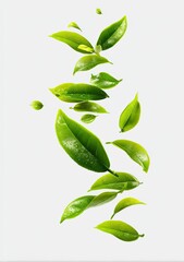Vibrant green tea leaves, glistening with moisture, float and cascade against a clean white backdrop