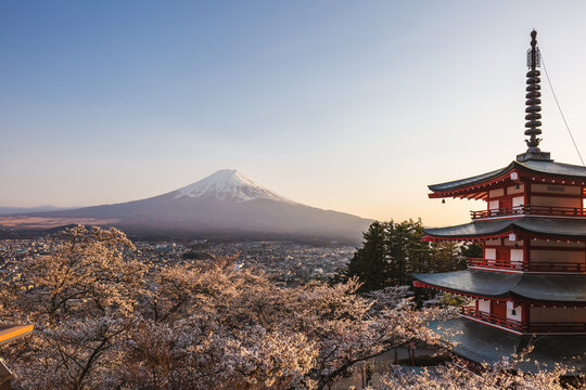 Majestic Mount Fuji in Japan, viewed from a cherry blossom-laden hillside with a traditional red pagoda. Breathtaking sunrise scene, showcasing spring's beauty and iconic landmarks. - Powered by Adobe