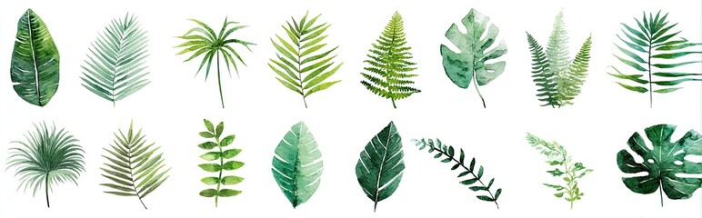 Watercolor painting of twenty diverse tropical leaves and branches in varying shades of green, isolated on a white background