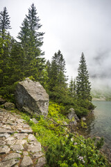 Mountain road, forest path, journey in a national park.
